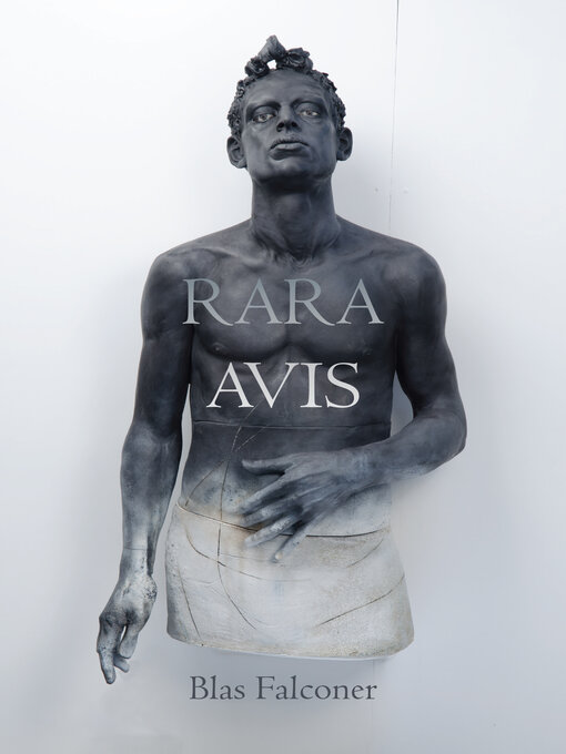 Title details for Rara Avis by Blas Falconer - Available
